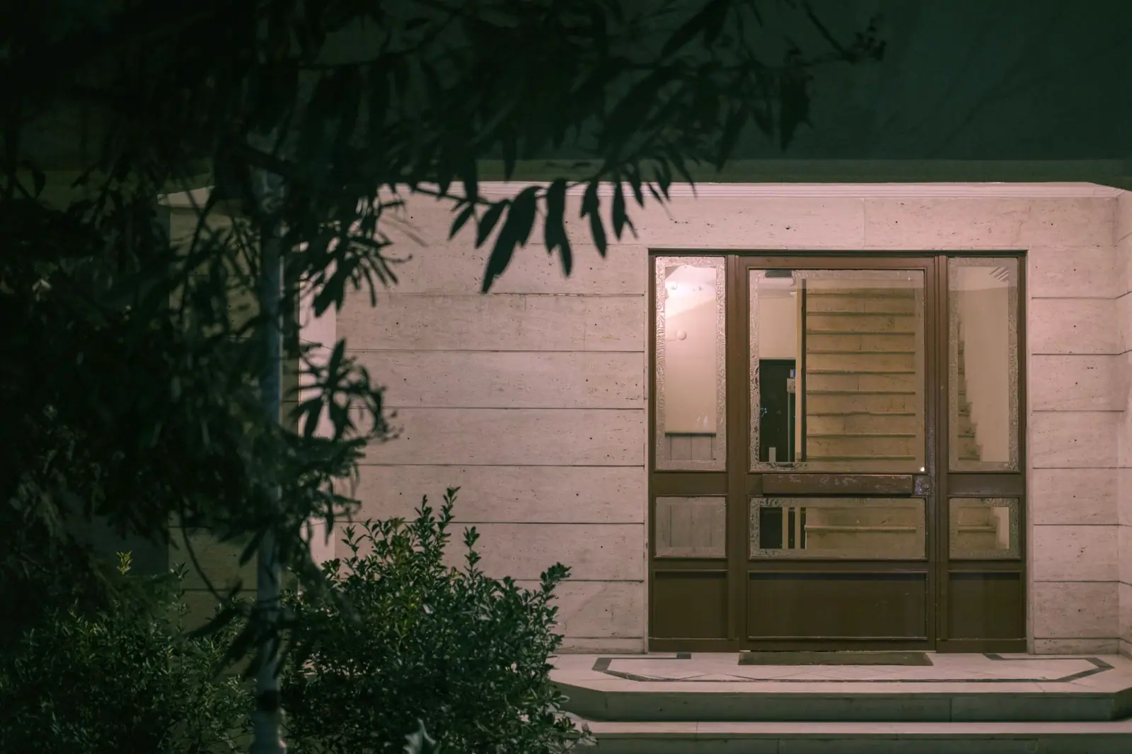 A building entrance lit at night with planting around it