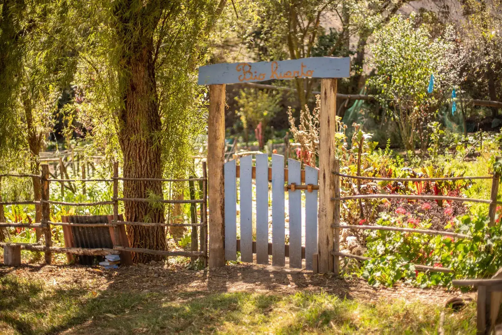 A wooden gate between garden boundaries surrounded by plants
