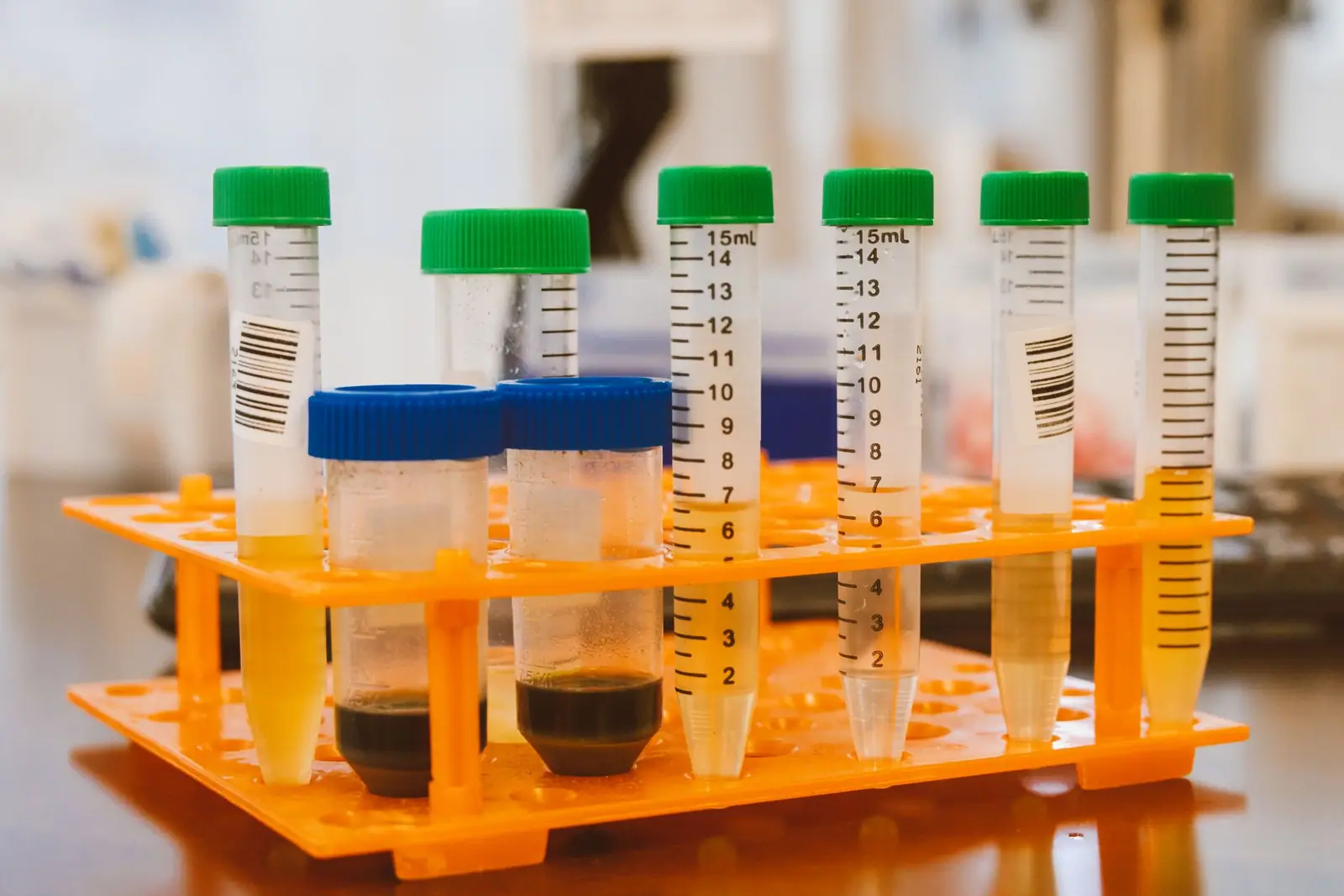 Capped laboratory tubes held in an orange rack